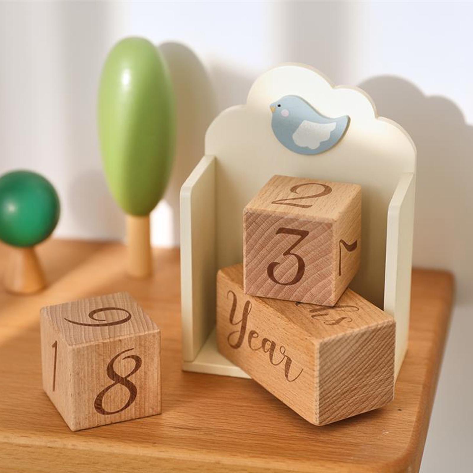 木製ベビーマイルストーン年齢ブロック思い出成長番号ブロック実 - Baby Nursery Age のレビューと価格